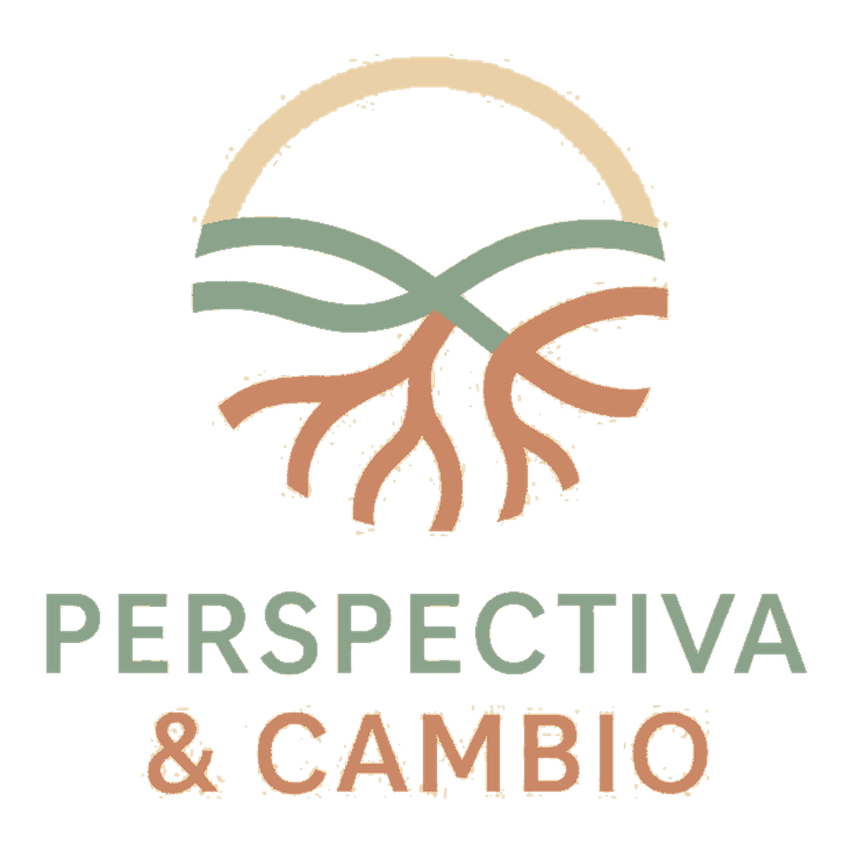 Perspectiva & Cambio